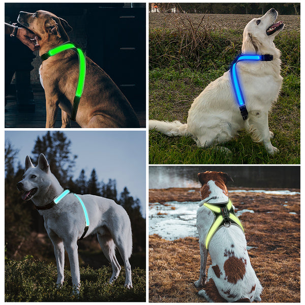 Harnais Multifonction pour Animaux – Sécurité, Confort et Visibilité avec Lumière LED 8 Modes et Collier à Traction